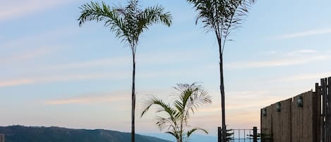 Una piscina al aire libre, sombrillas, sillones reclinables de piscina