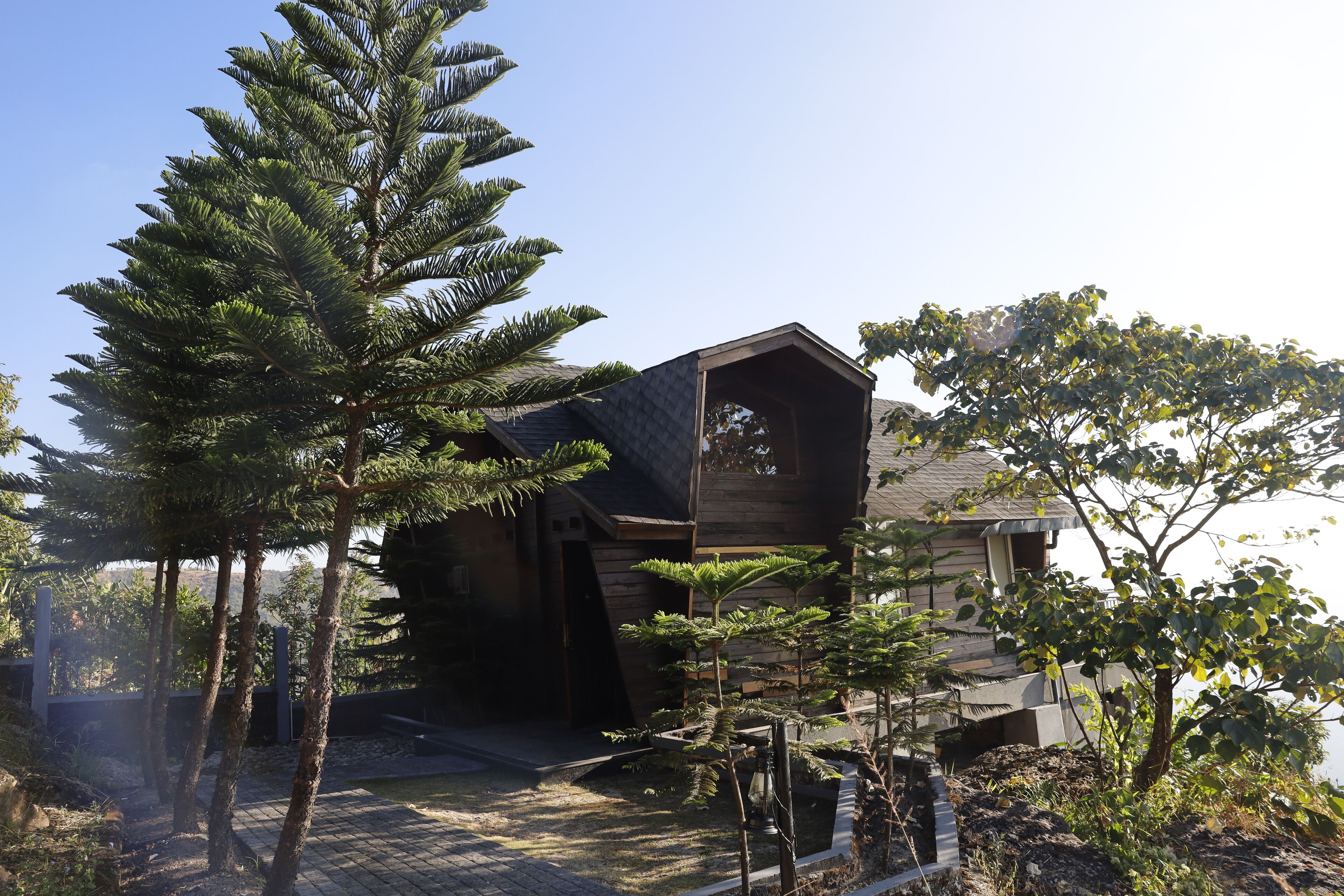 A modern house with a sloped roof, surrounded by various trees and a paved area.