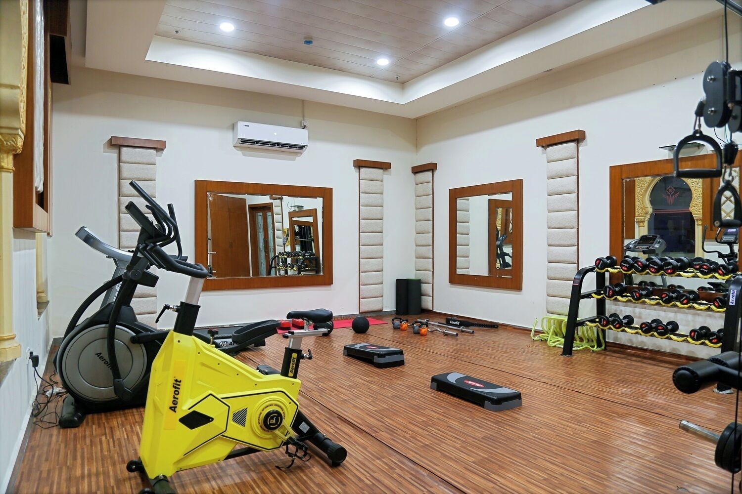 Une pièce spacieuse équipée d’un ventilateur de plafond, d’un climatiseur, d’un vélo d’appartement, d’un tapis de course, d’un jeu d’haltères et d’un miroir.