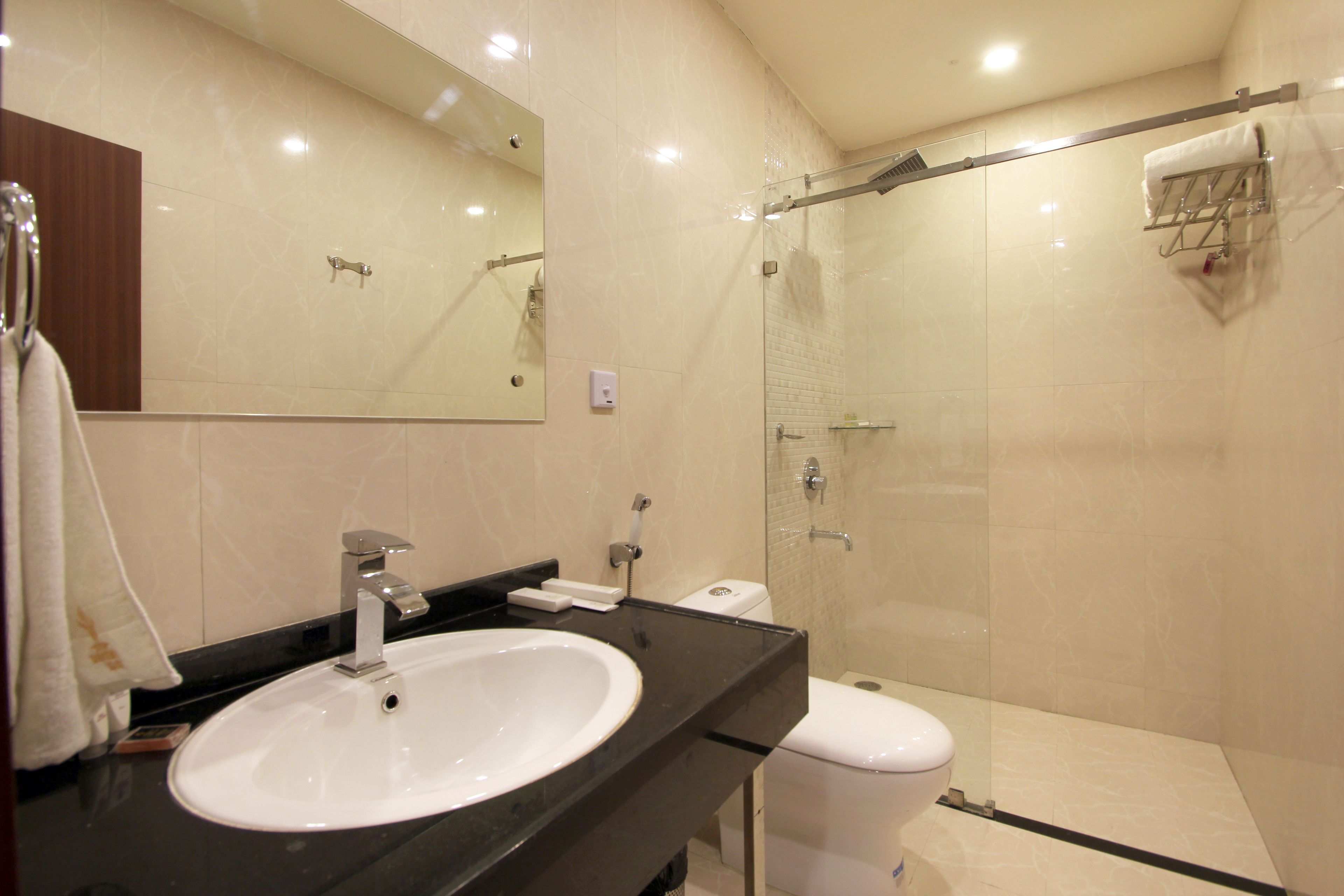 A modern bathroom with a large sink, toilet, and glass-enclosed shower.