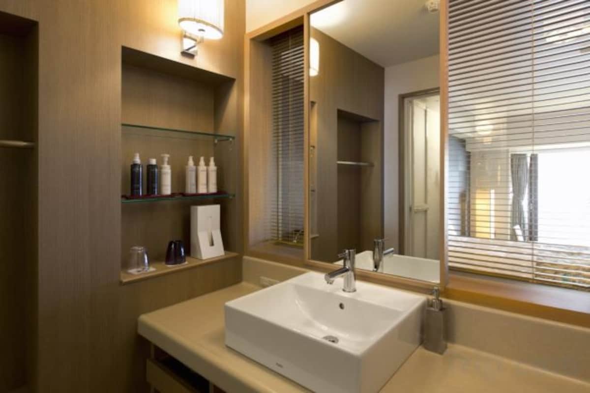 Shower, hair dryer, bathrobes, slippers