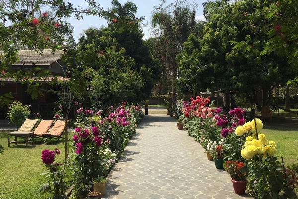 Garden view
