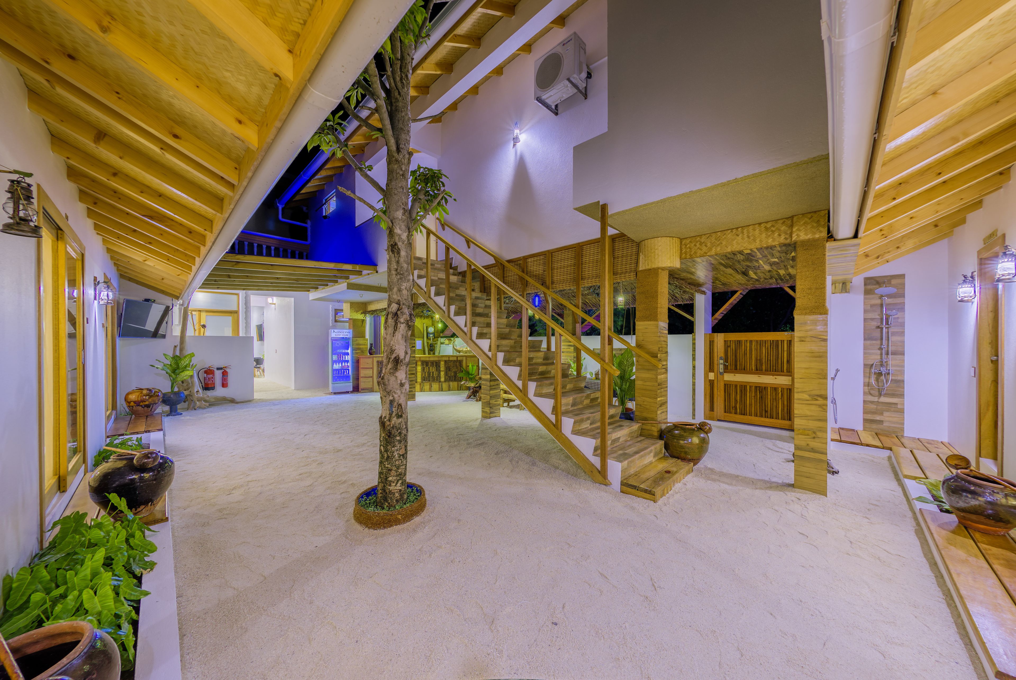 A spacious indoor area with a wooden staircase, a central tree, and a sandy floor.
