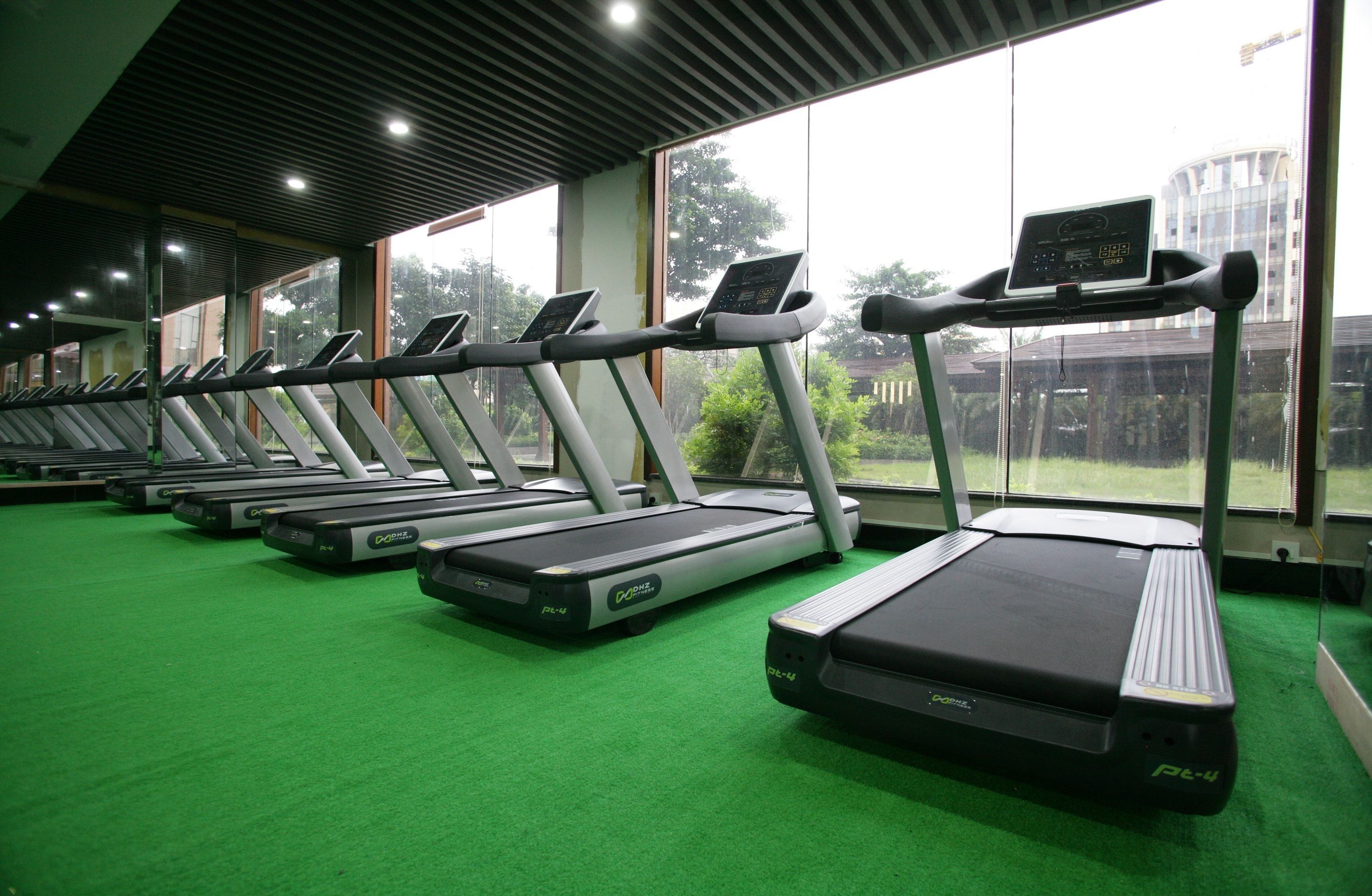 A row of treadmills in a gym with a green carpet and large windows.