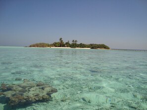 Unclassified image, 2 of 85, button - Rasdhoo View Inn (Rasdhoo)