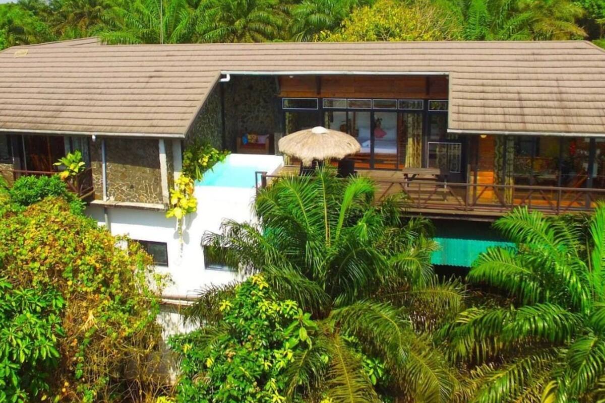 A modern villa with a large outdoor pool, surrounded by lush tropical vegetation.