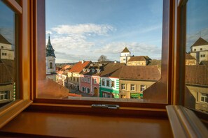 View from property - Penzion Panský Dům (Rozmital pod Tremsinem)