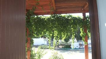 Apartment, 1 Bedroom | View from room