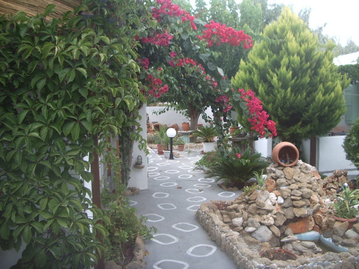 A garden pathway with potted plants and a stone wall.