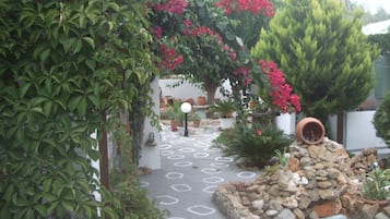 A garden pathway with potted plants and a stone wall.