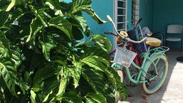 Vélo