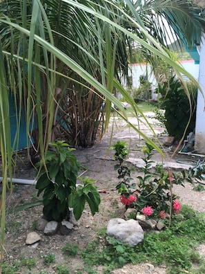 Property grounds - Vicky's Keys - Hostel (Philipsburg)