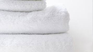 Combined shower/bathtub, free toiletries, hair dryer, bathrobes