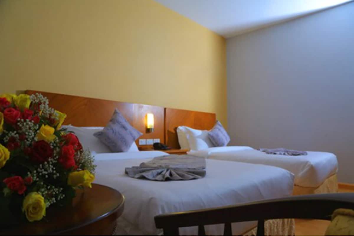 Habitación con 2 camas individuales | Ropa de cama de alta calidad, minibar, caja fuerte y escritorio