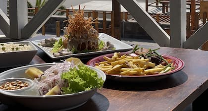 Los Delfines de Chicama