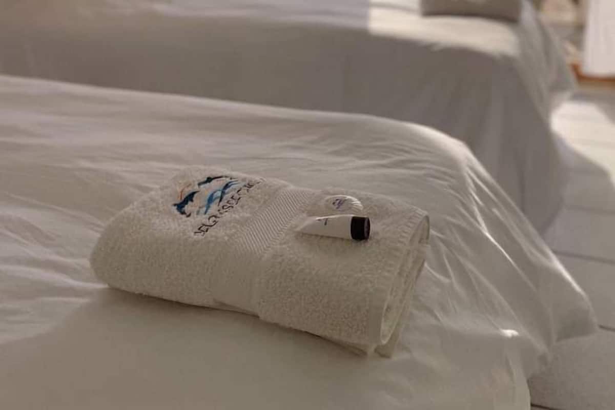 A hotel room with two beds, a window with sheer curtains, and a view of the outside.