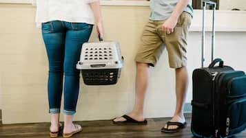 Animaux de compagnie acceptés