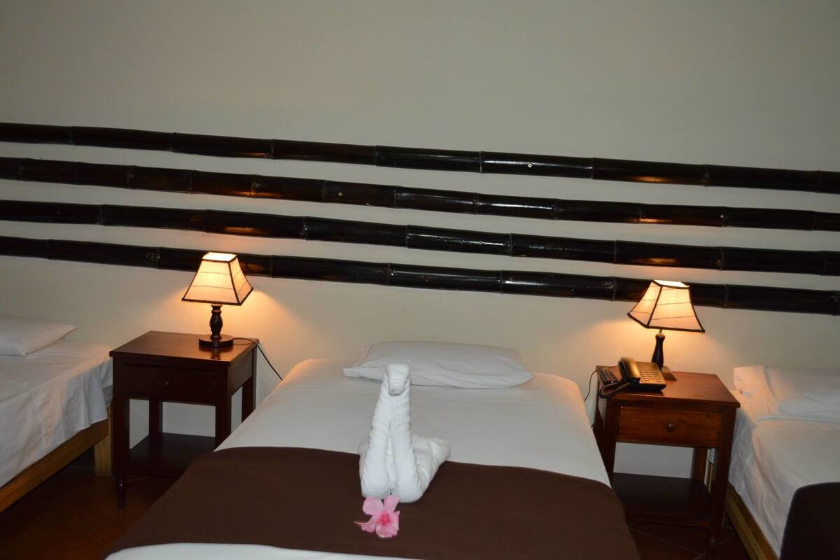Rollaway beds