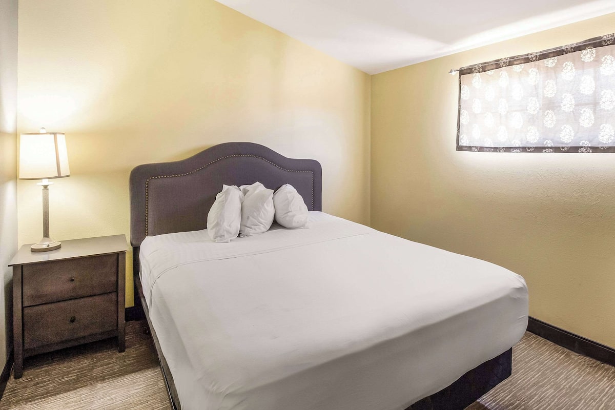 A hotel room with a single bed, a nightstand with a lamp, and a window with a patterned curtain.
