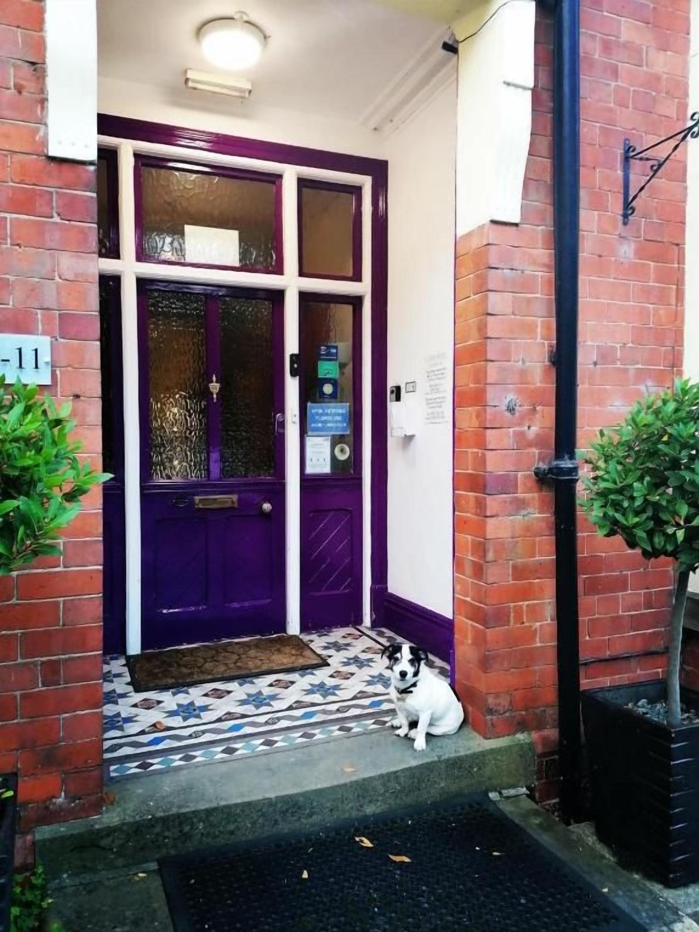 A purple door with a glass panel, a small porch area, and a dog sitting on the step.