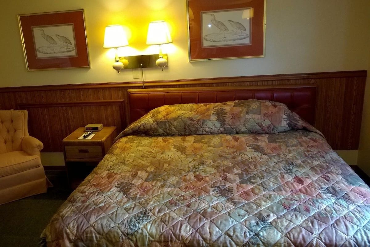 Economy kamer, 1 kingsize bed | Gratis wifi
