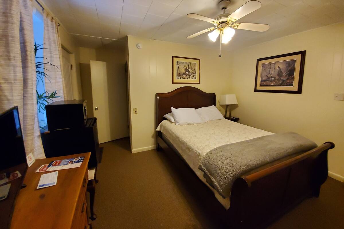 Une chambre d’hôtel avec un lit, un bureau, une chaise, un ventilateur de plafond et deux tableaux accrochés aux murs.