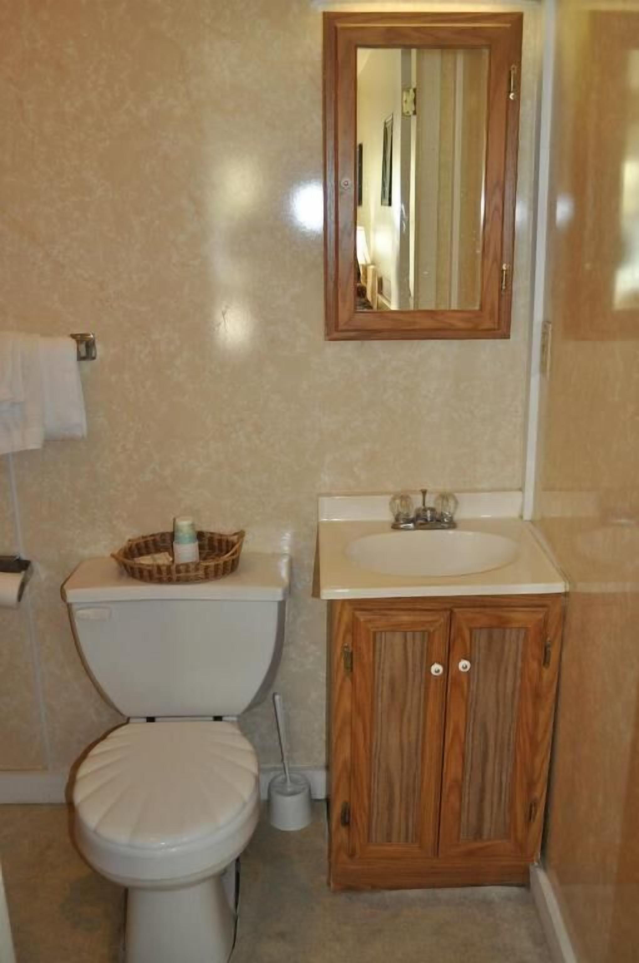 Une salle de bain avec des toilettes, un lavabo et un meuble en bois.