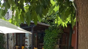 An outdoor patio with wooden tables and yellow chairs, surrounded by potted plants and a stone wall. - Ammon Garden Hotel (Kassandra)