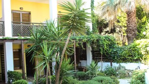 A courtyard with a stone pathway, palm trees, and a yellow building with balconies. - Ammon Garden Hotel (Kassandra)