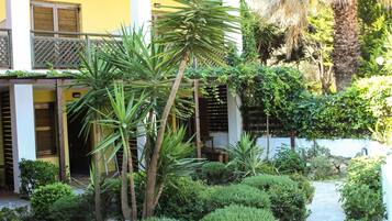Tuin