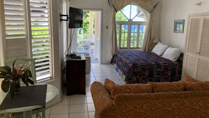 A room with a bed, a sofa, a TV, and a table with a plant.