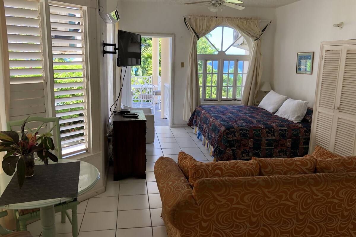 A room with a bed, a sofa, a TV, and a table with a plant.