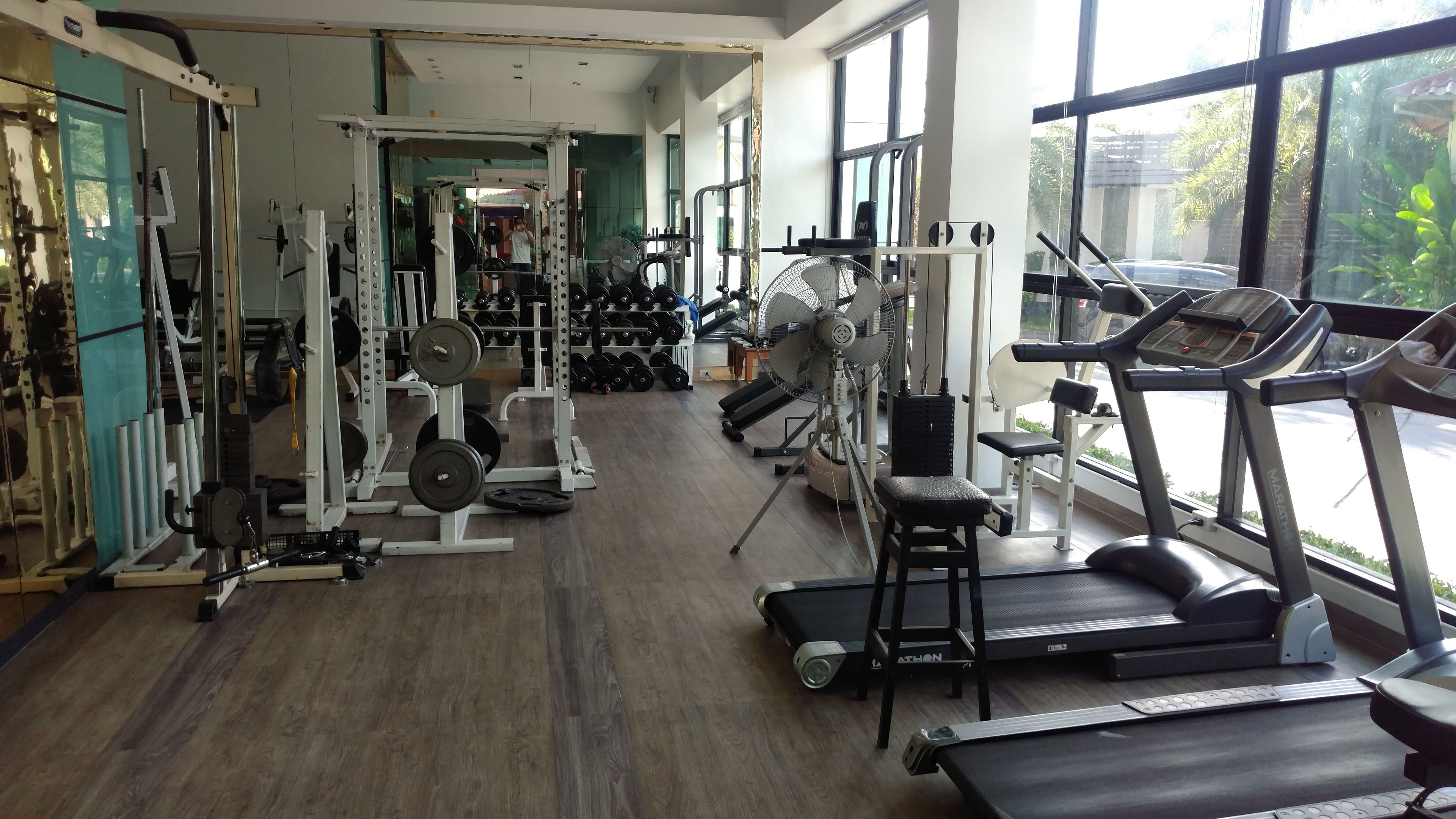 A gym with treadmills, weight machines, and free weights.