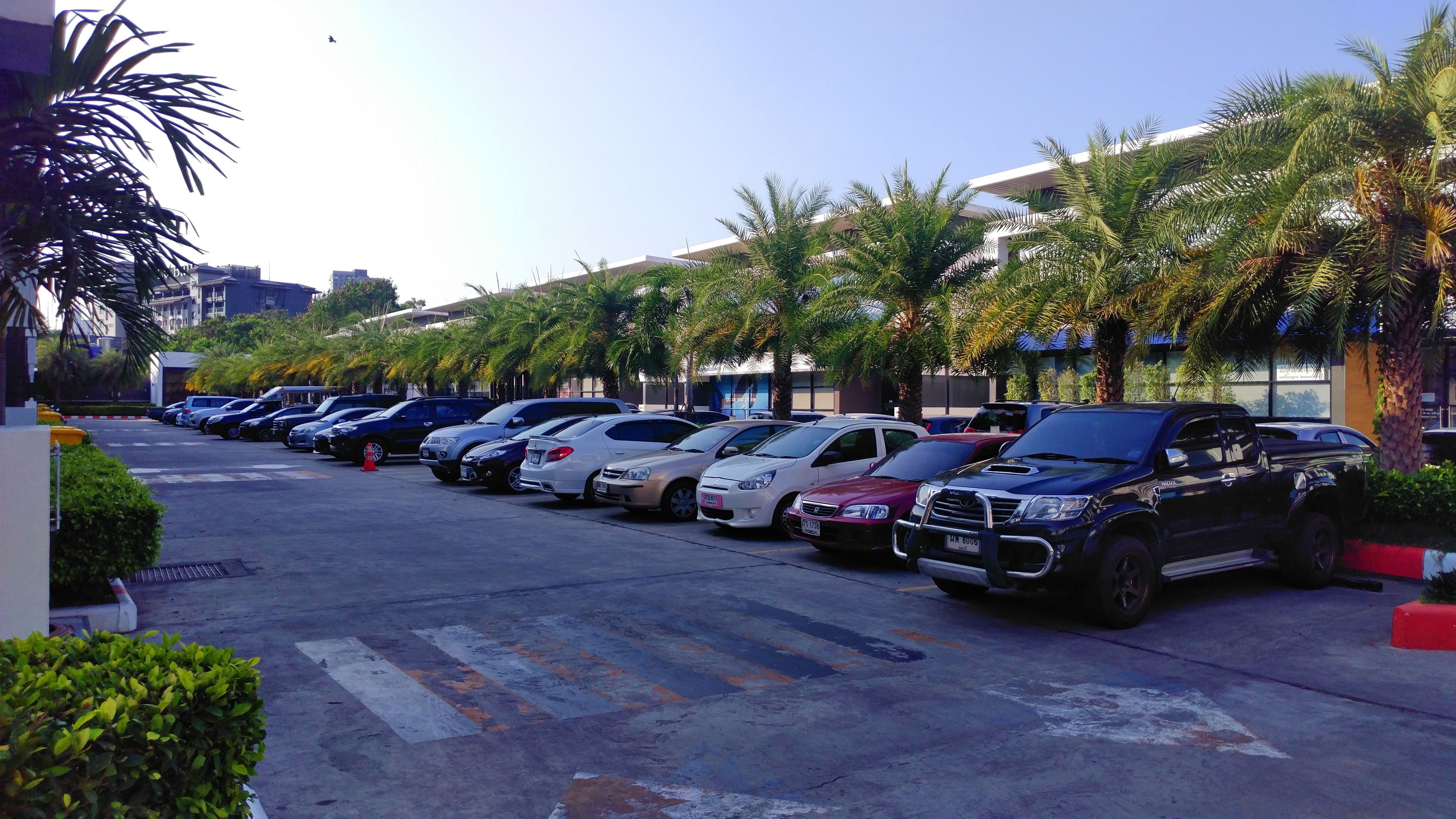 A parking lot with multiple cars parked in rows, surrounded by palm trees and buildings.