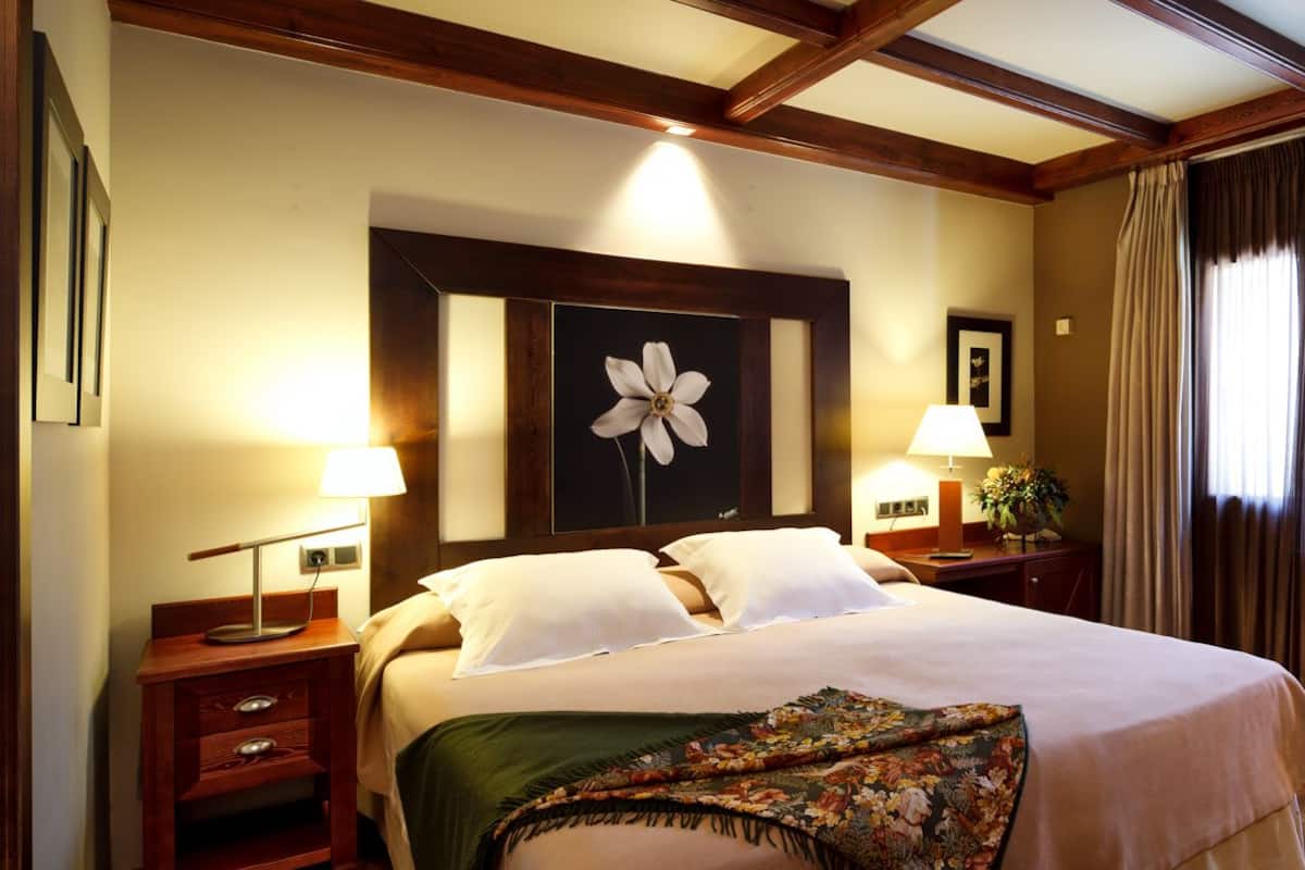 A hotel room with a large bed, two bedside tables with lamps, a wooden chair, a TV, and a floral artwork on the wall.