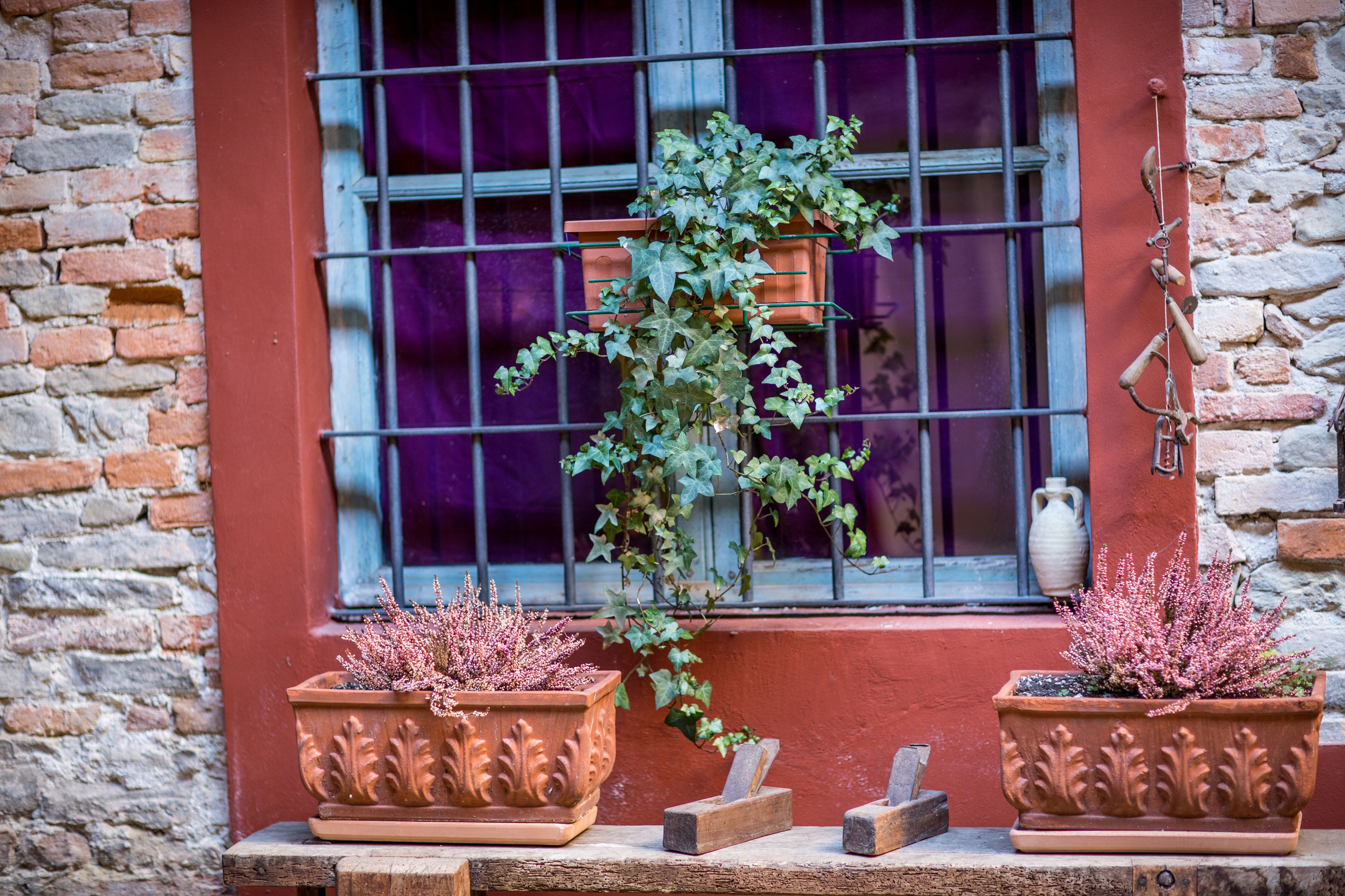 A window with a metal grid, two potted plants with decorative patterns, and a rustic wooden bench.