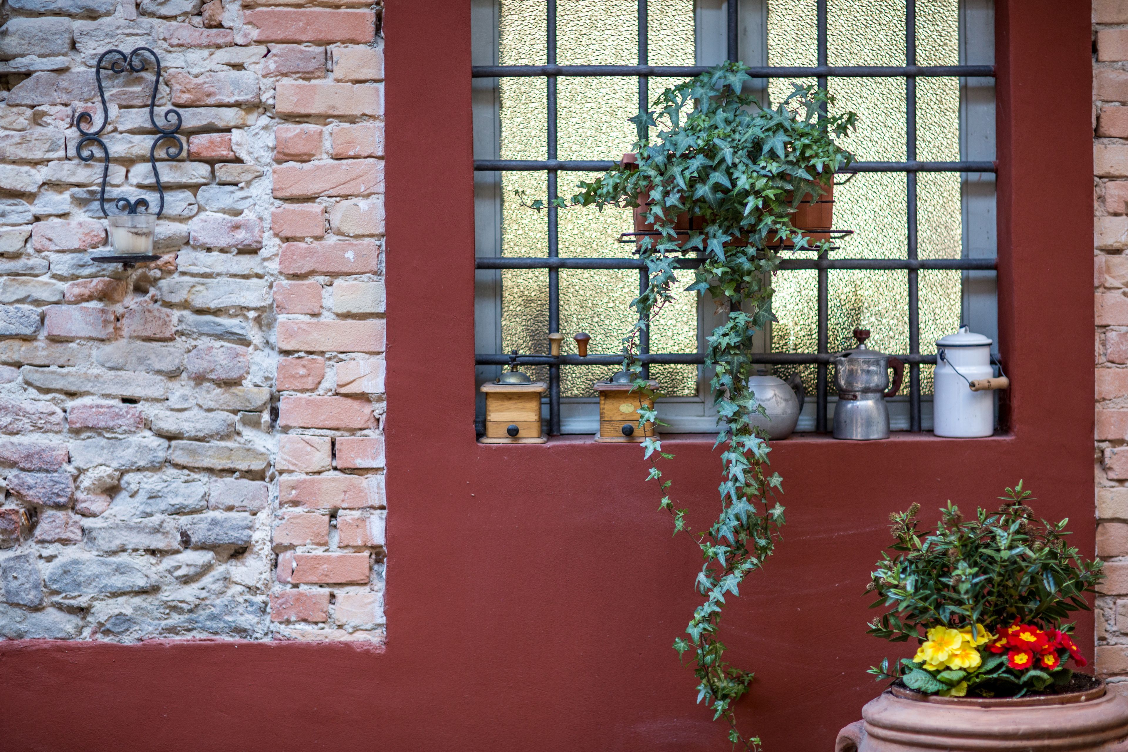 Pared de ladrillo con una ventana que tiene una reja metálica, una planta colgante y una maceta con flores.