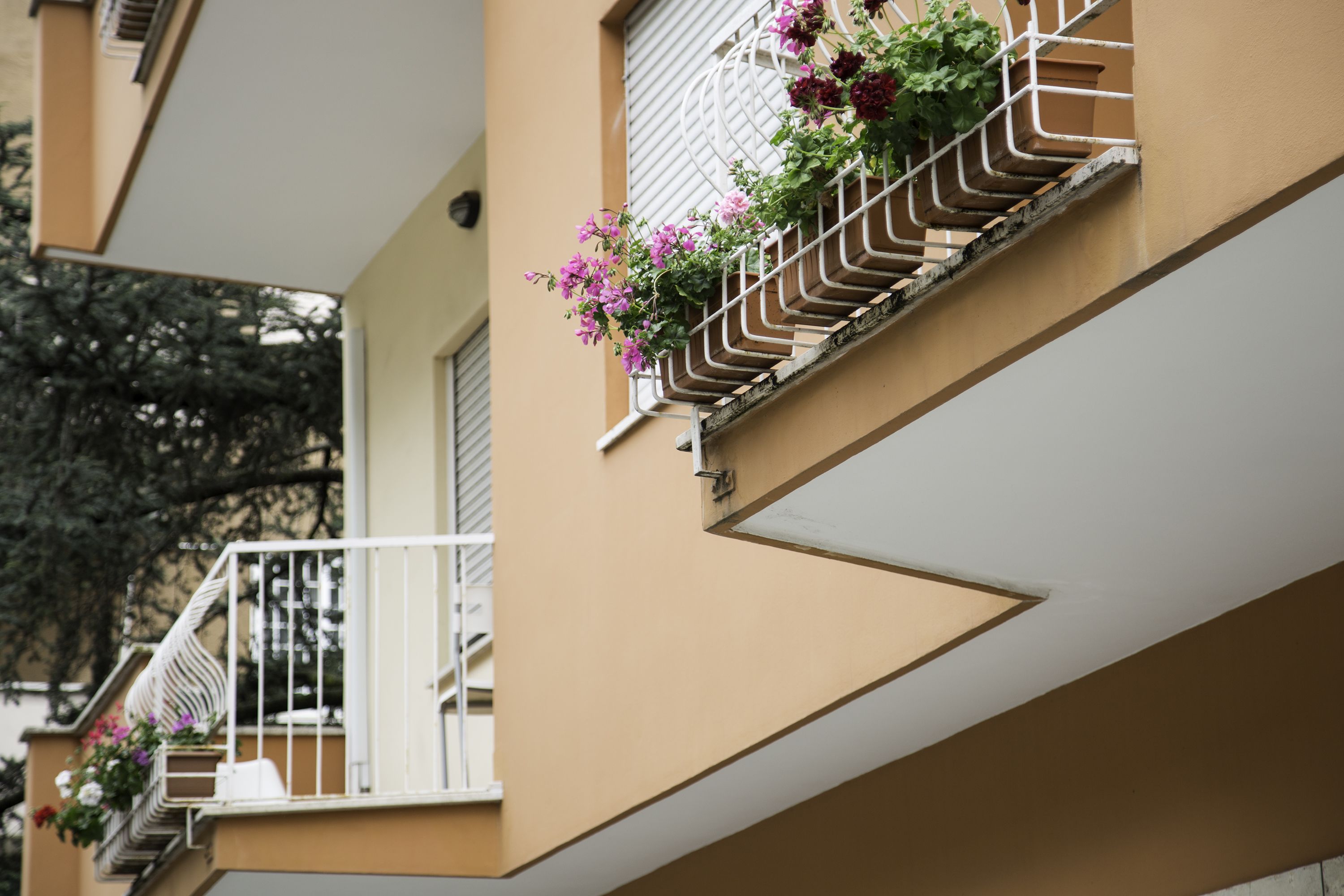 Foto - Roma Talenti Fucini B&B