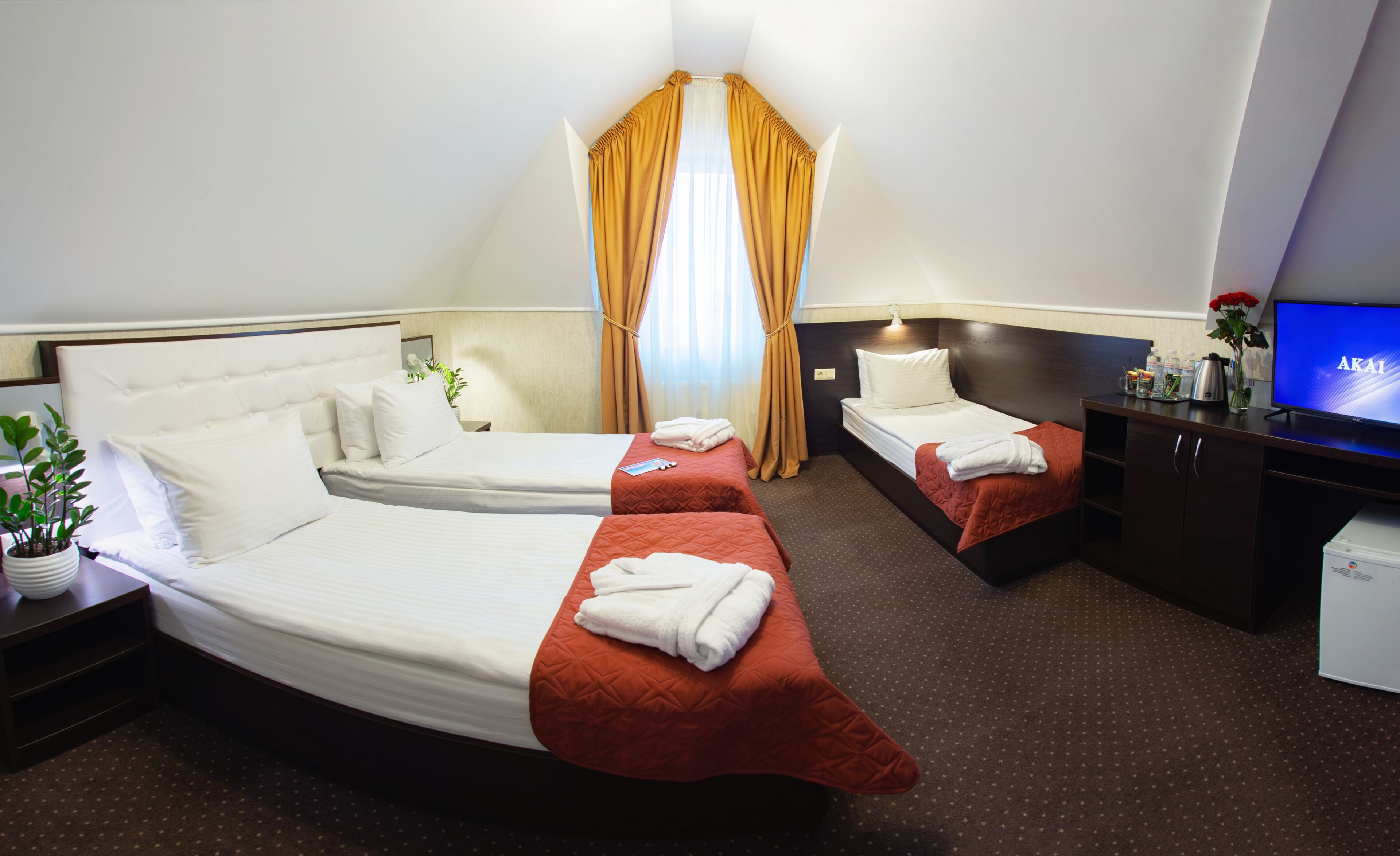 Une chambre d’hôtel avec deux lits, une télévision, un bureau et une plante en pot.