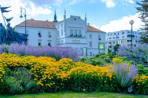 Área de bodas al aire libre
