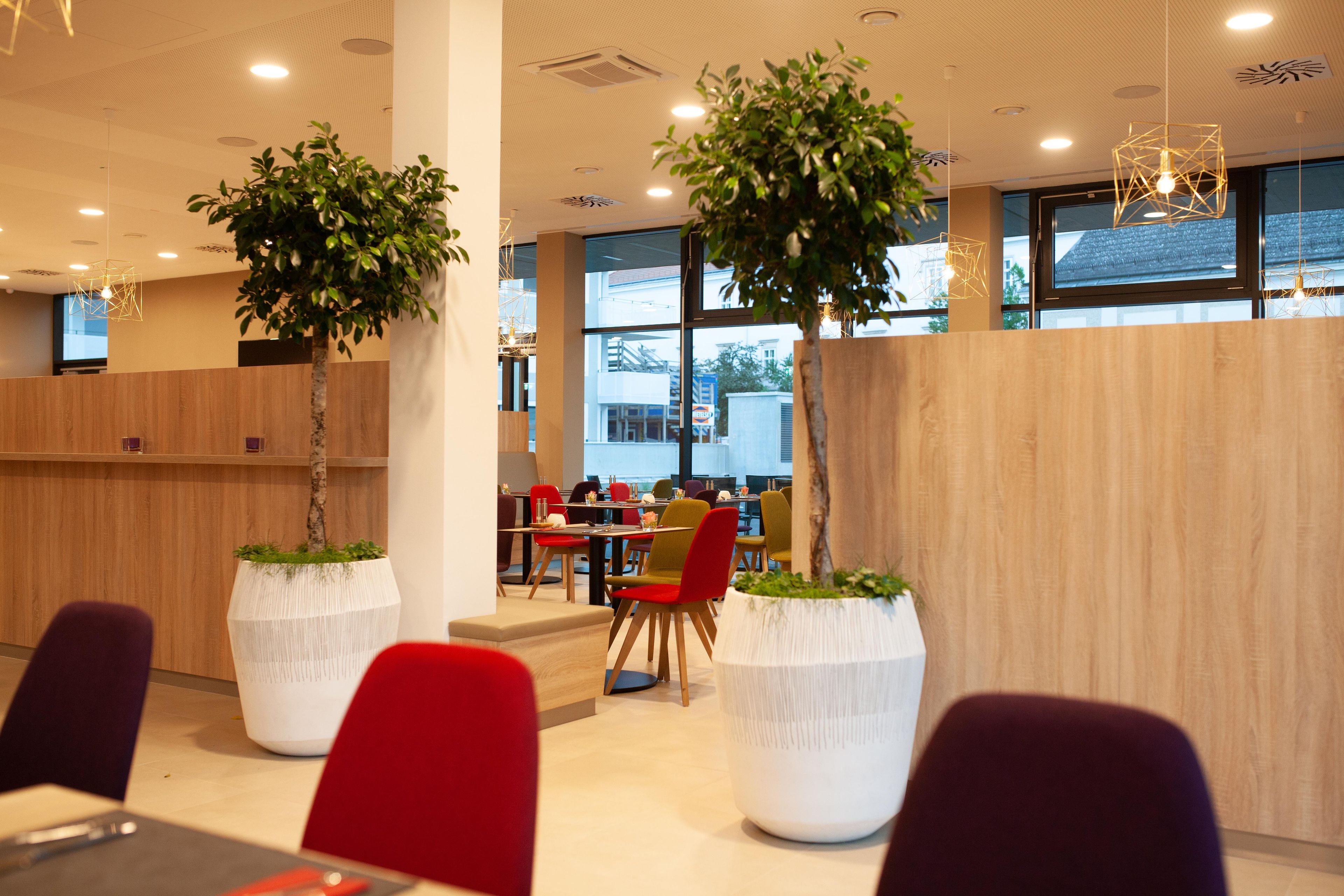 Un espace repas moderne avec des cloisons en bois, des chaises rouges et vertes, et de grands pots blancs contenant des plantes vertes.