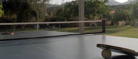 A tennis court with a net, a table tennis table, and a ball.