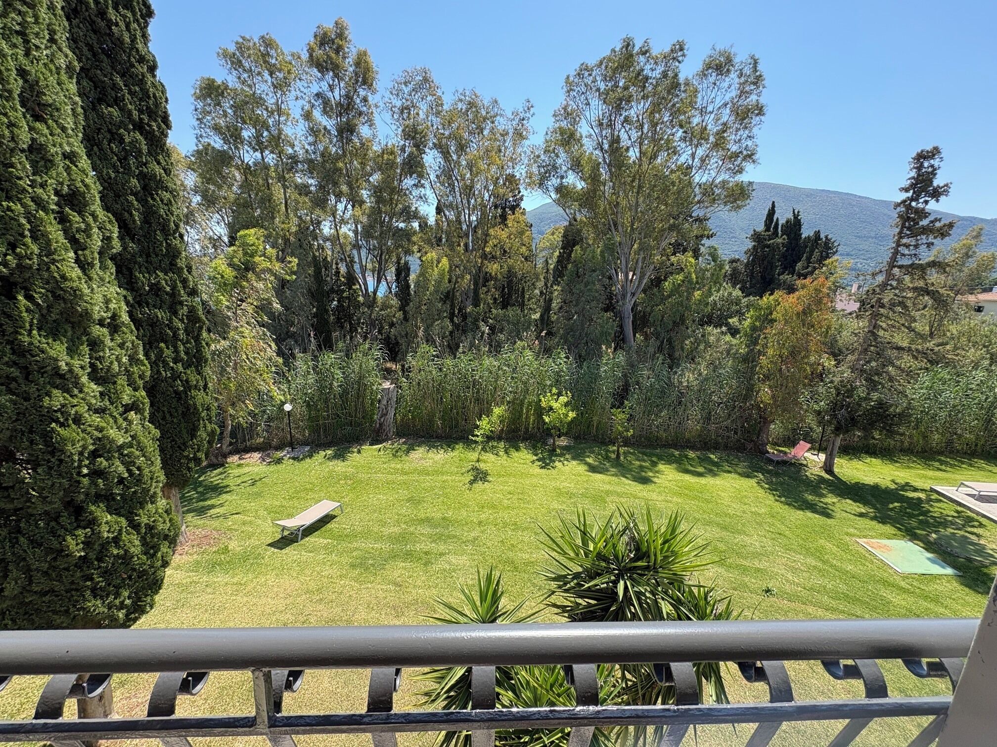 A well-maintained garden with a lawn, a bench, and a variety of trees.