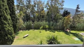 A well-maintained garden with a lawn, a bench, and a variety of trees.