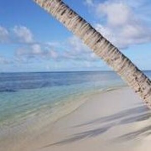 A beach with clear turquoise water and a sandy shore. - Pearl Beach View (Nilandhoo)