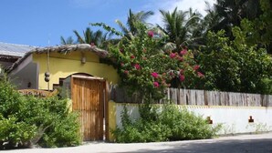 Una casa amarilla con puerta de madera, rodeada de abundante vegetación y una cerca de madera.