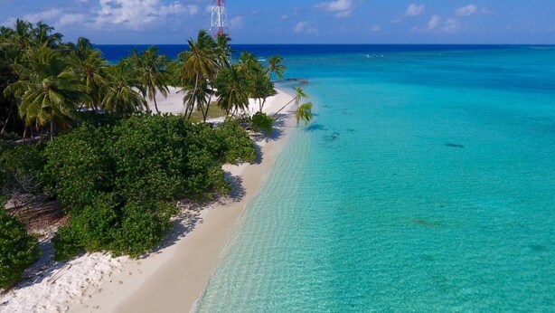 A beach with clear turquoise water, white sand, and palm trees. - Luau Beach Inn (Fulidhoo)