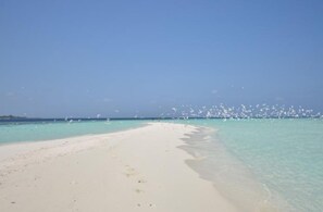 บนชายหาด