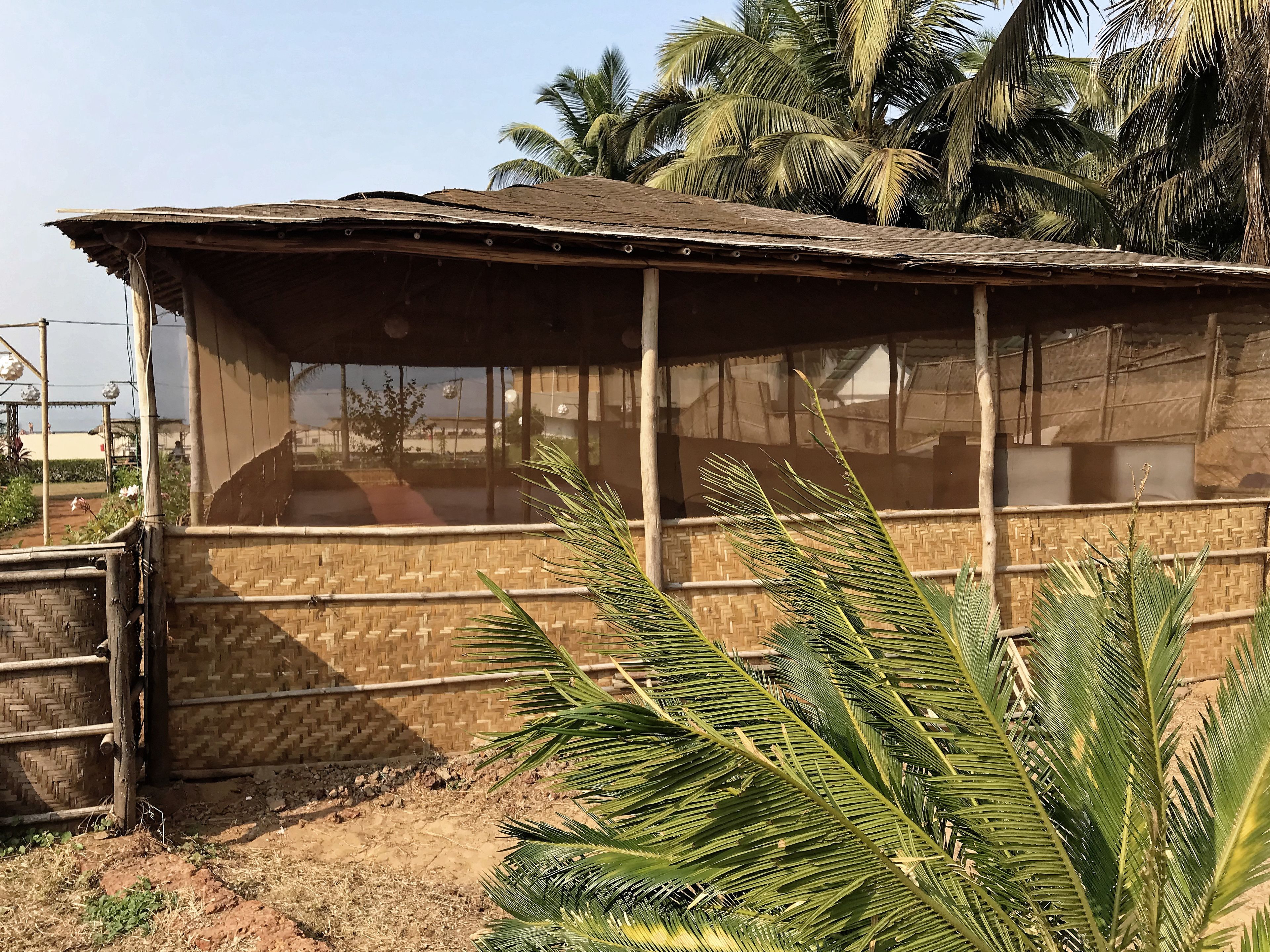 A rustic building with a thatched roof and bamboo walls, surrounded by palm trees.