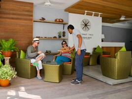Un espacio lounge moderno con mobiliario de mimbre, un ventilador de techo y una pared con el logotipo de una palmera de coco.